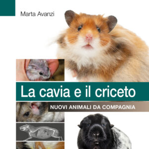 Libro cavia e il criceto. Nuovi animali da compagnia di Marta Avanzi - ean 9788821458392 - Edra