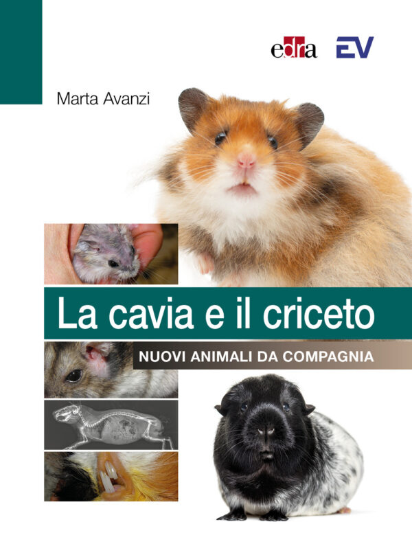 Libro cavia e il criceto. Nuovi animali da compagnia di Marta Avanzi - ean 9788821458392 - Edra
