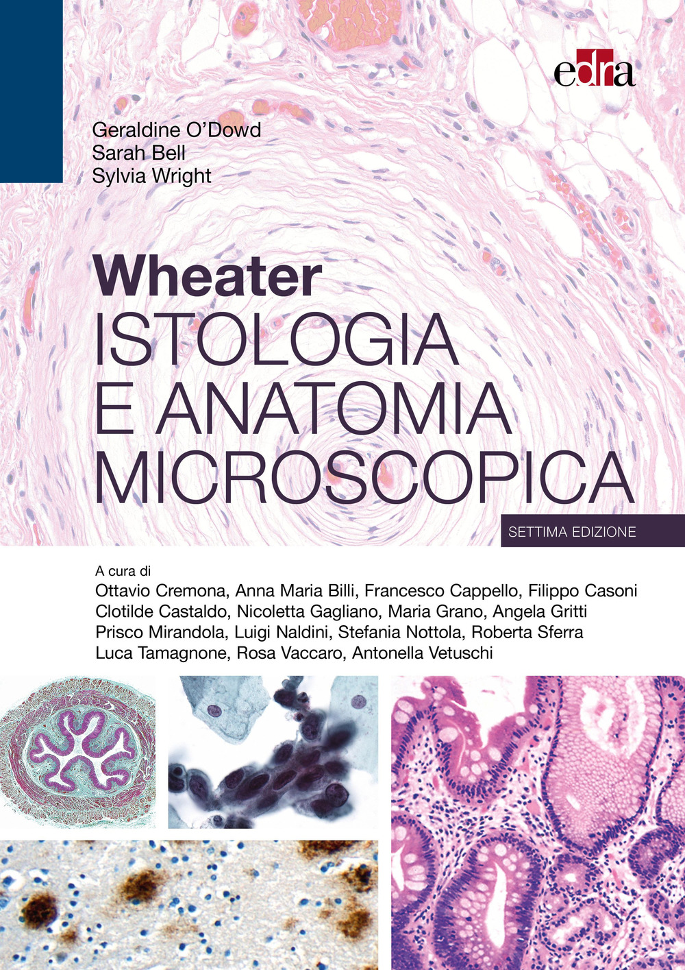 Libro Wheater. Istologia e anatomia microscopica di Geraldine O'Dowd; Sarah Bell; Sylvia Wright - ean 9788821458699 - Edra