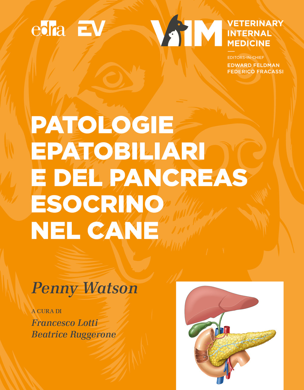 Libro Patologie epatobiliari e del pancreas esocrino nel cane di Edward C. Feldman; Penny Watson; Federico Fracassi - ean 9788821459832 - Edra