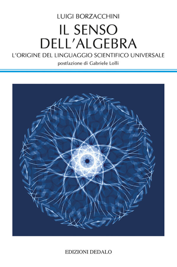 Libro senso dell'algebra. L'origine del linguaggio scientifico universale di Luigi Borzacchini - ean 9788822002785 - edizioni Dedalo