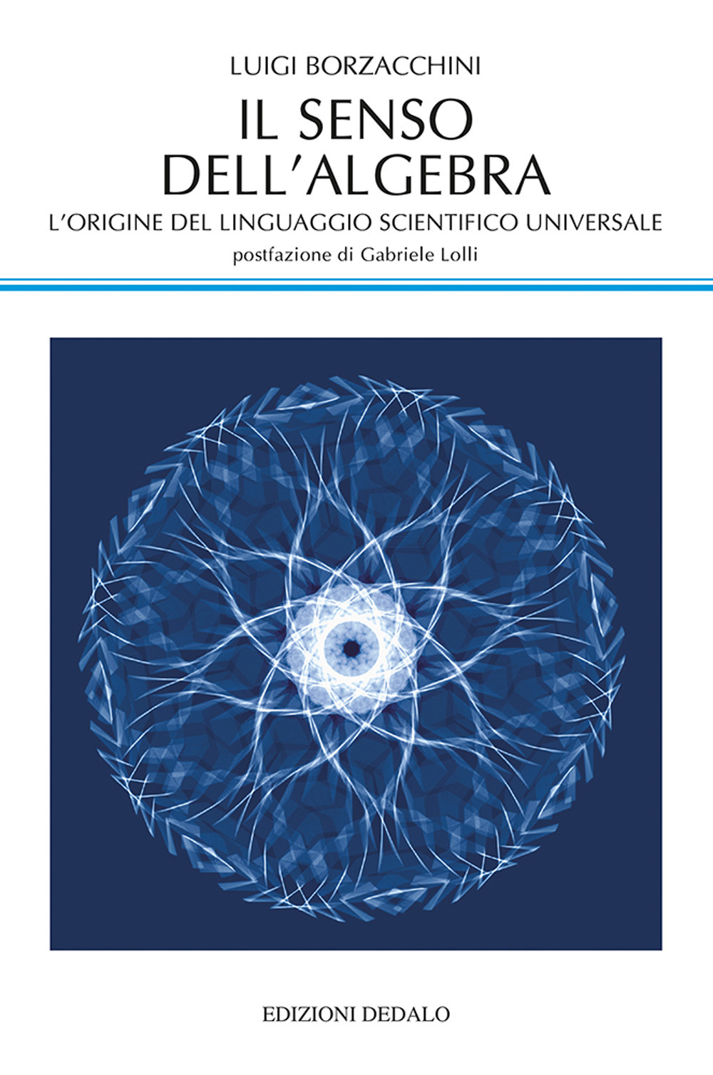 Libro senso dell'algebra. L'origine del linguaggio scientifico universale di Luigi Borzacchini - ean 9788822002785 - edizioni Dedalo