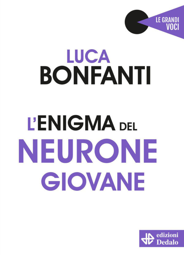 Libro enigma del neurone giovane di Luca Bonfanti - ean 9788822016065 - edizioni Dedalo