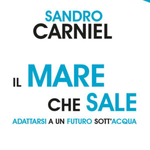 Libro mare che sale. Adattarsi a un futuro sott'acqua di Sandro Carniel - ean 9788822016157 - edizioni Dedalo