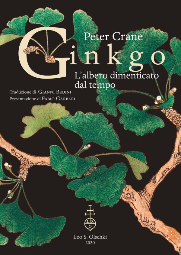 Libro Ginkgo. L'albero dimenticato dal tempo di Peter Crane - ean 9788822266811 - Olschki