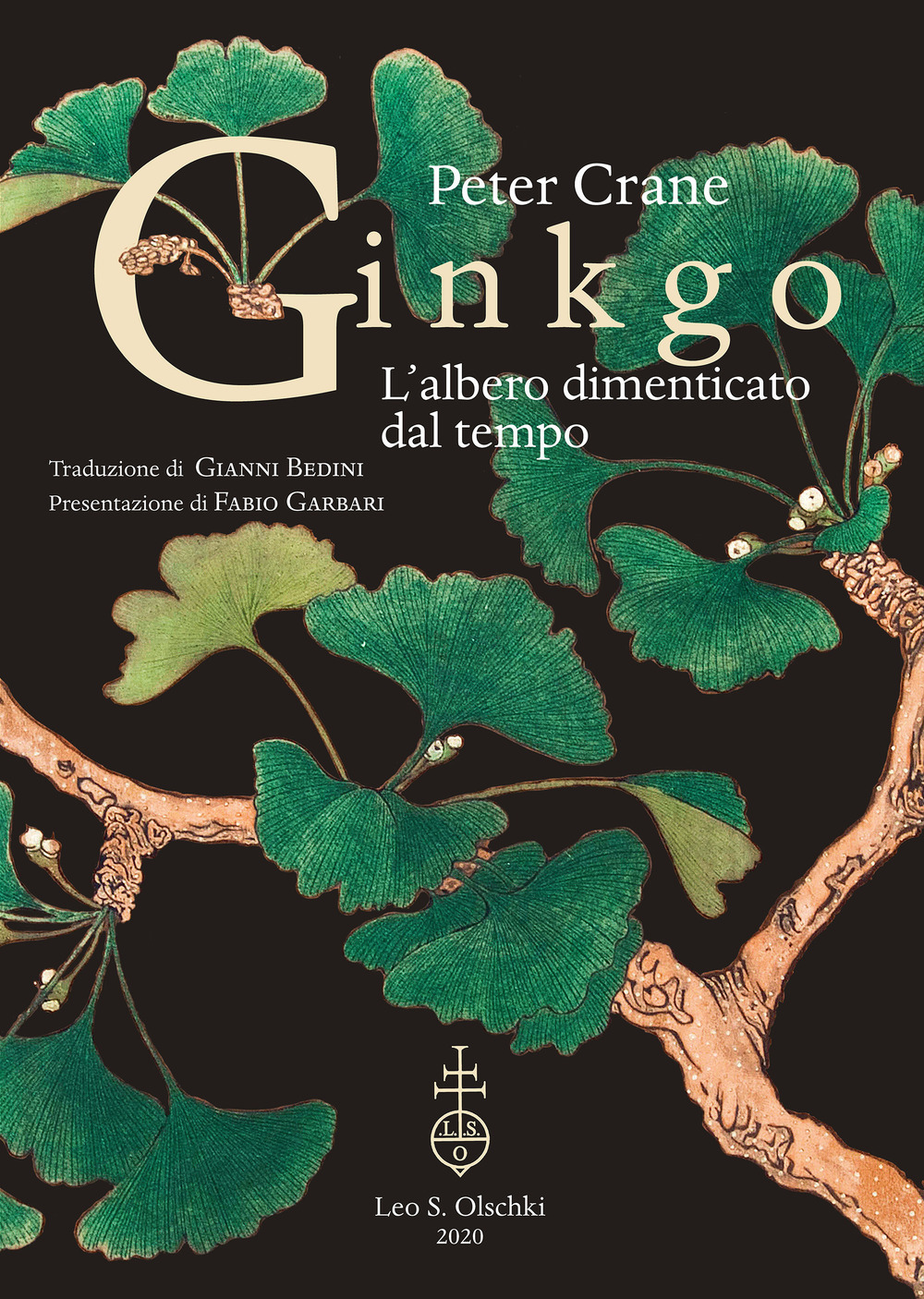 Libro Ginkgo. L'albero dimenticato dal tempo di Peter Crane - ean 9788822266811 - Olschki