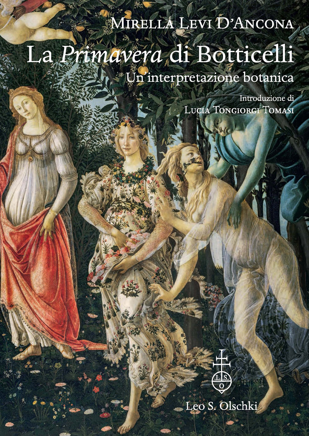 Libro «Primavera» di Botticelli. Un'interpretazione botanica di Mirella Levi D'Ancona - ean 9788822269317 - Olschki