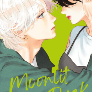 Libro In the clear moonlit dusk di Mika Yamamori - ean 9788822646729 - Star Comics