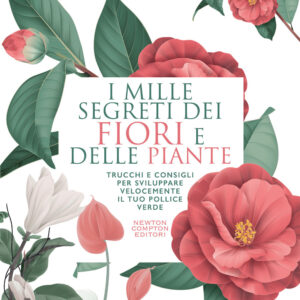 Libro mille segreti dei fiori e delle piante. Trucchi e consigli per sviluppare velocemente il tuo pollice verde di Maria Giovanna Davoli - ean 9788822765376 - Newton Compton Editori