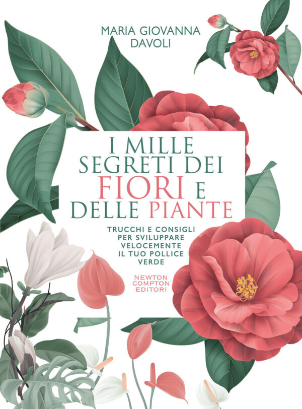 Libro mille segreti dei fiori e delle piante. Trucchi e consigli per sviluppare velocemente il tuo pollice verde di Maria Giovanna Davoli - ean 9788822765376 - Newton Compton Editori