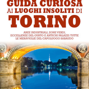 Libro Guida curiosa ai luoghi insoliti di Torino. Aree industriali