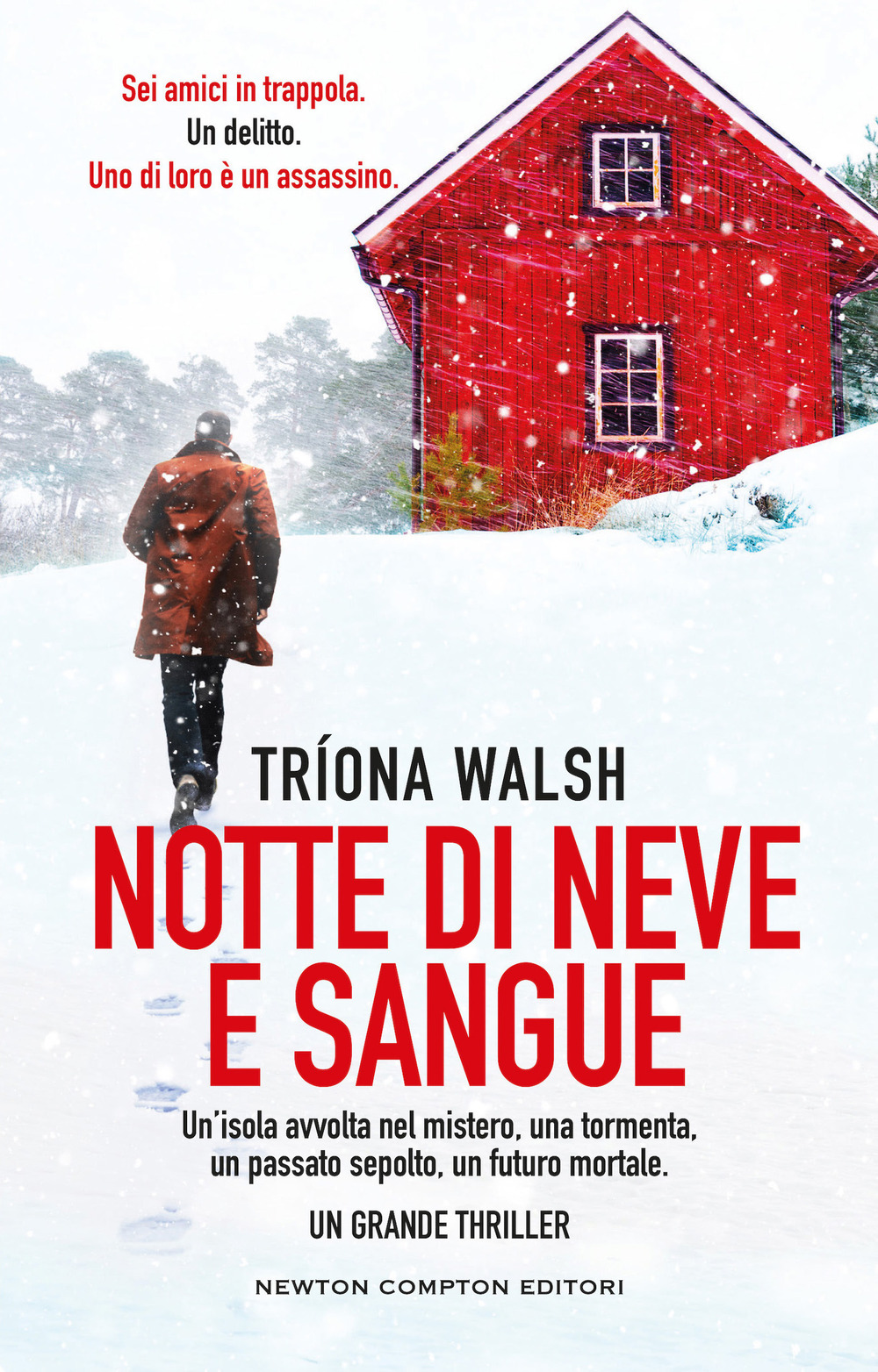 Libro Notte di neve e sangue di Triona Walsh - ean 9788822774279 - Newton Compton Editori