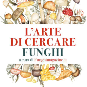Libro arte di cercare funghi di Angelo Giovinazzo - ean 9788822798893 - Newton Compton Editori