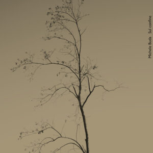 Libro Sul confine. Ediz. italiana e inglese di Michele Buda - ean 9788822907479 - Quodlibet