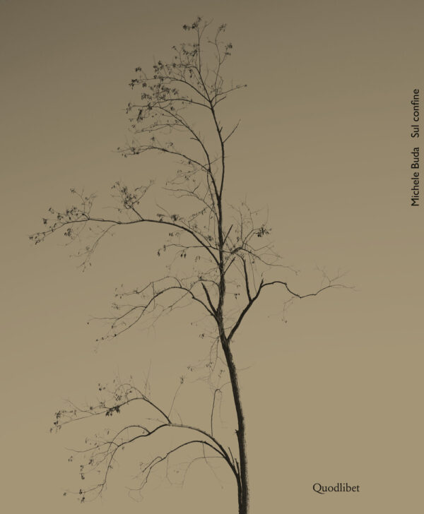 Libro Sul confine. Ediz. italiana e inglese di Michele Buda - ean 9788822907479 - Quodlibet