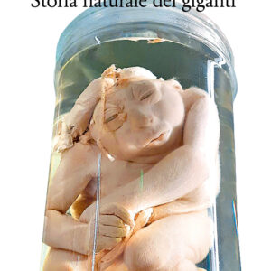 Libro Storia naturale dei giganti di Ermanno Cavazzoni - ean 9788822907646 - Quodlibet