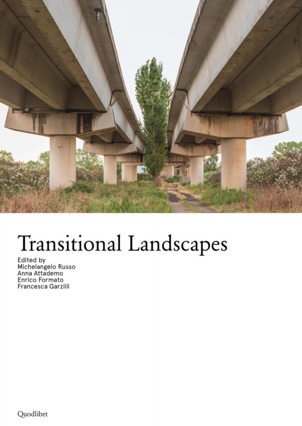 Libro Transitional landscapes di  - ean 9788822908094 - Quodlibet