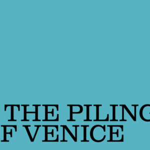 Libro pilings of Venice di Henrik Reeh - ean 9788822920942 - Quodlibet
