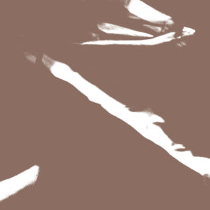 Libro Morgen. Torno indietro un attimo. Ediz. italiana e inglese di Antonio Rovaldi - ean 9788822922434 - Quodlibet