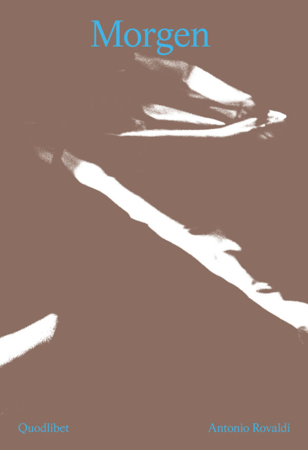 Libro Morgen. Torno indietro un attimo. Ediz. italiana e inglese di Antonio Rovaldi - ean 9788822922434 - Quodlibet