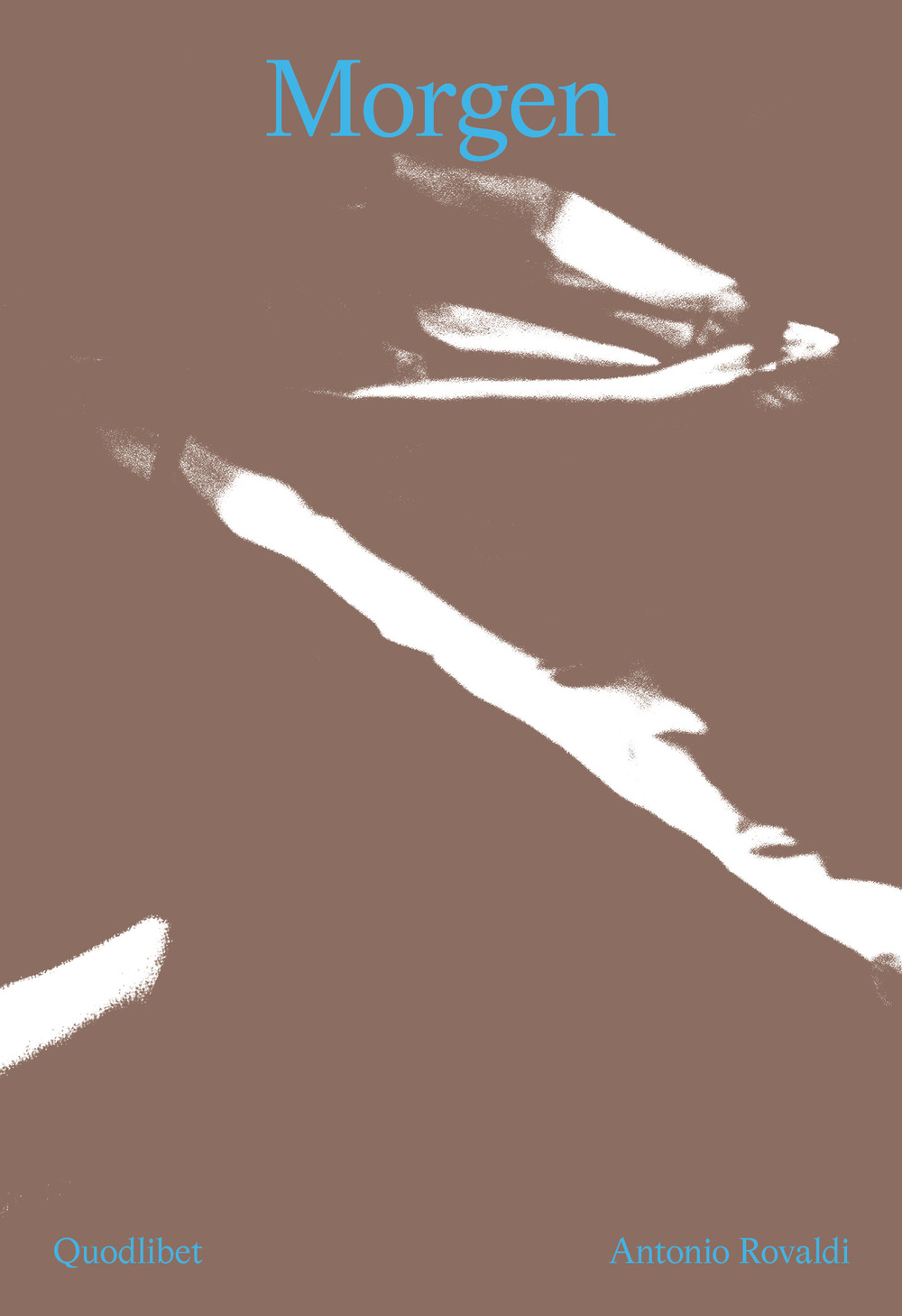 Libro Morgen. Torno indietro un attimo. Ediz. italiana e inglese di Antonio Rovaldi - ean 9788822922434 - Quodlibet