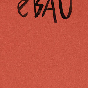 Libro eBAU. Art Dreams for the New European Bauhaus di Roberto Paci Dalò - ean 9788822922458 - Quodlibet