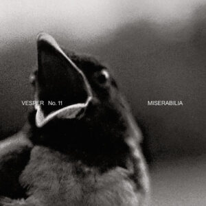 Libro Vesper. Rivista di architettura