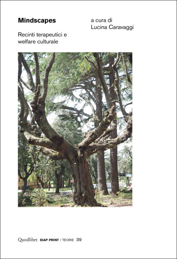 Libro Mindscapes. Recinti terapeutici e welfare culturale di  - ean 9788822923479 - Quodlibet
