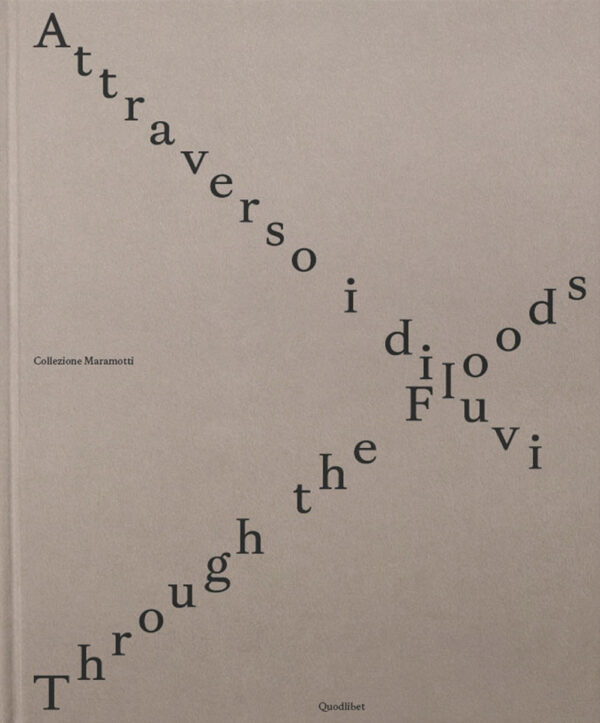 Libro Attraverso i diluvi-Through the foods di  - ean 9788822923851 - Quodlibet