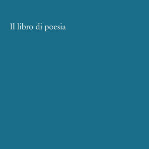 Libro libro di poesia. Tipologie e analisi macrotestuali di Enrico Testa - ean 9788822924117 - Quodlibet