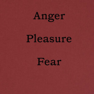 Libro Linda Fregni Nagler. Anger/Pleasure/Fear. Ediz. italiana e inglese di  - ean 9788822924445 - Quodlibet