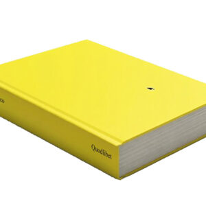 Libro Screen life di Flavio De Marco - ean 9788822925275 - Quodlibet