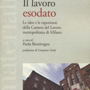 Libro lavoro esodato di  - ean 9788823019645 - Futura Editrice