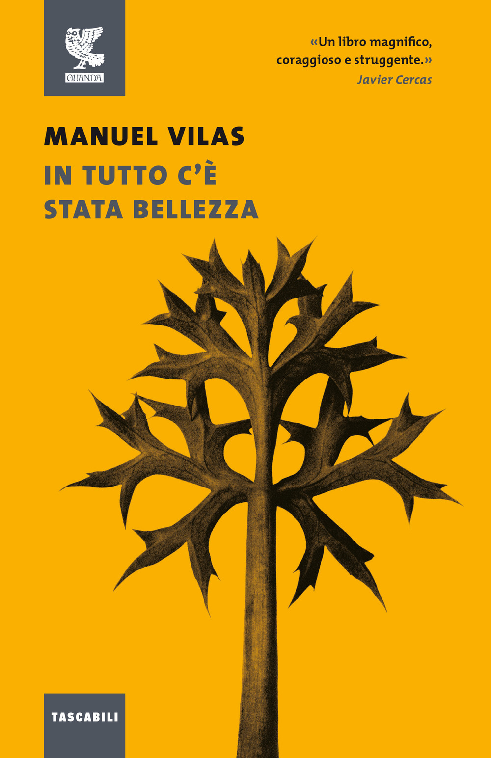 Libro In tutto c'è stata bellezza di Manuel Vilas - ean 9788823526518 - Guanda