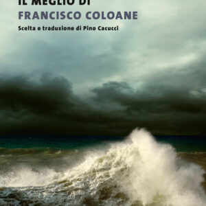 Libro meglio di Francisco Coloane di Francisco Coloane - ean 9788823528888 - Guanda