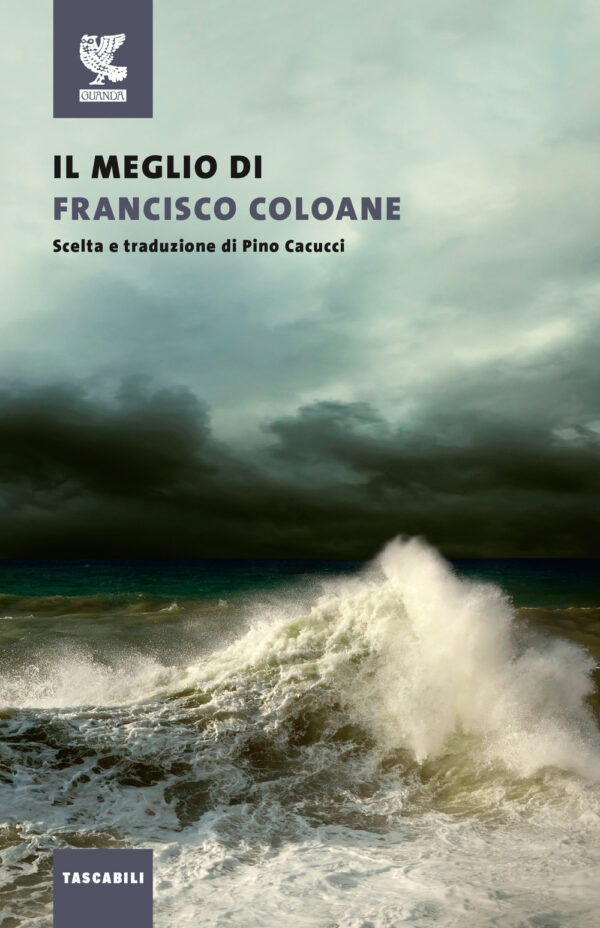 Libro meglio di Francisco Coloane di Francisco Coloane - ean 9788823528888 - Guanda