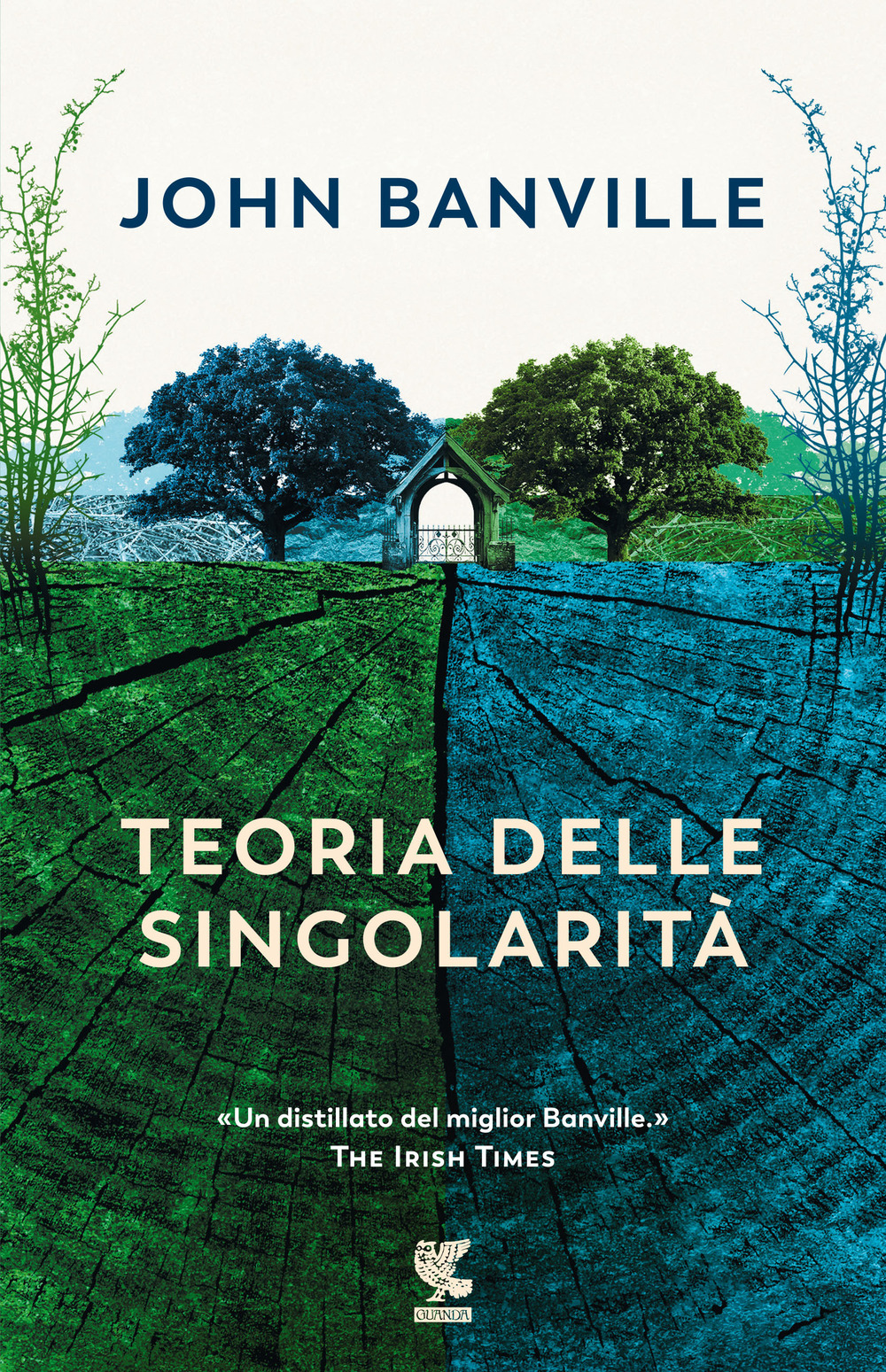 Libro Teoria delle singolarità di John Banville - ean 9788823531833 - Guanda