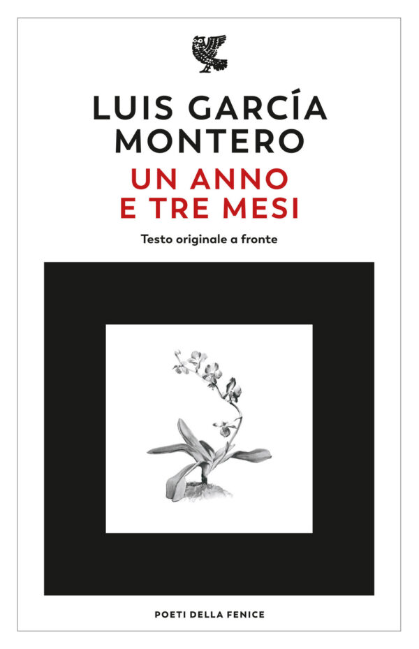 Libro anno e tre mesi. Testo originale a fronte di Garcia Montero Luis - ean 9788823533059 - Guanda
