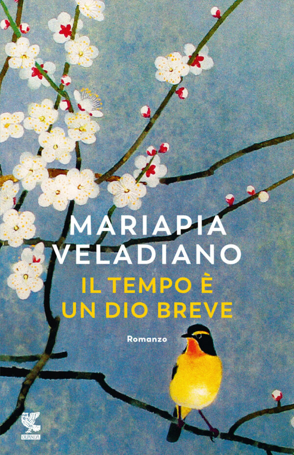 Libro tempo è un dio breve di Mariapia Veladiano - ean 9788823533554 - Guanda