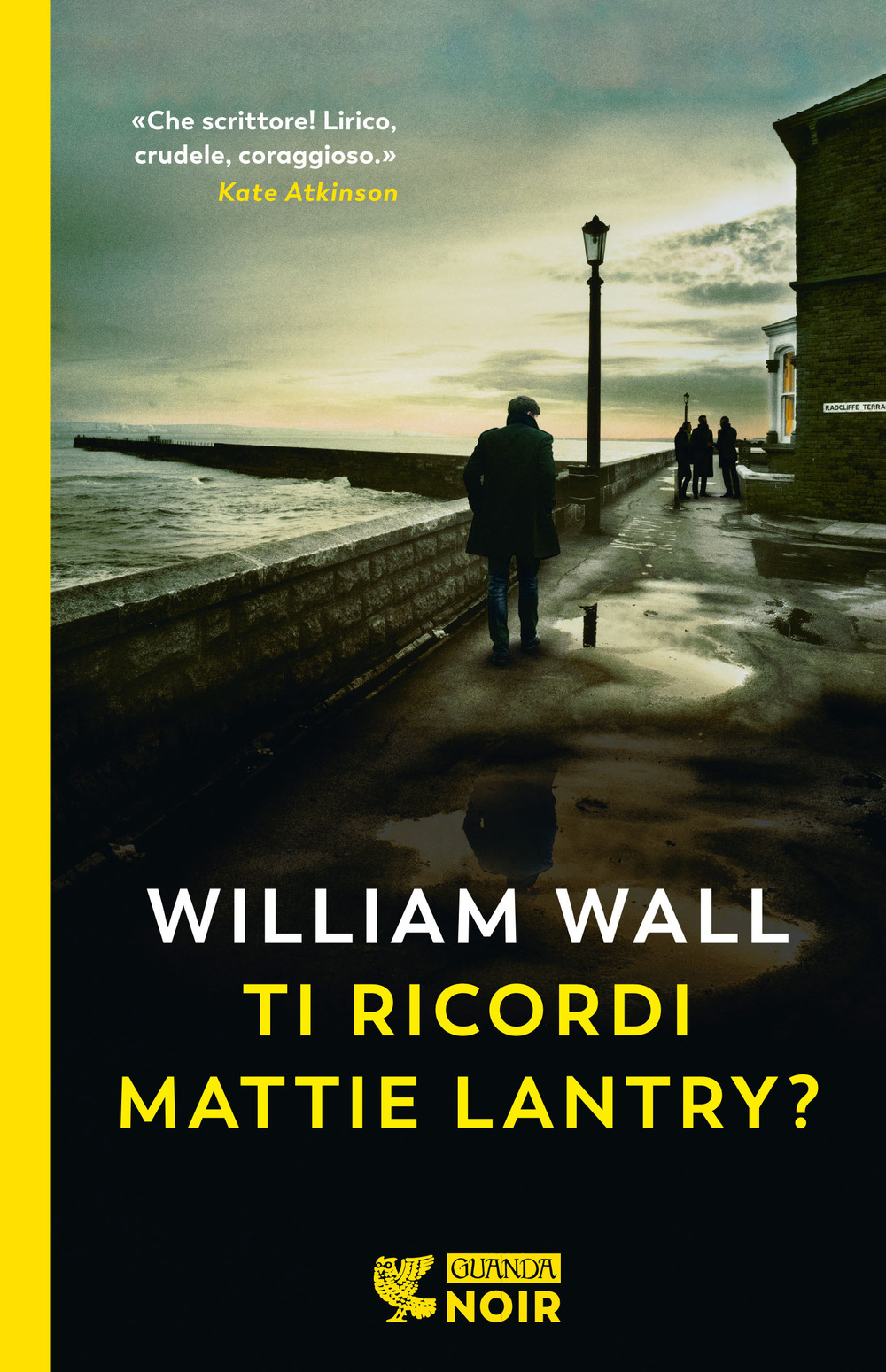 Libro Ti ricordi Mattie Lantry? di William Wall - ean 9788823533639 - Guanda