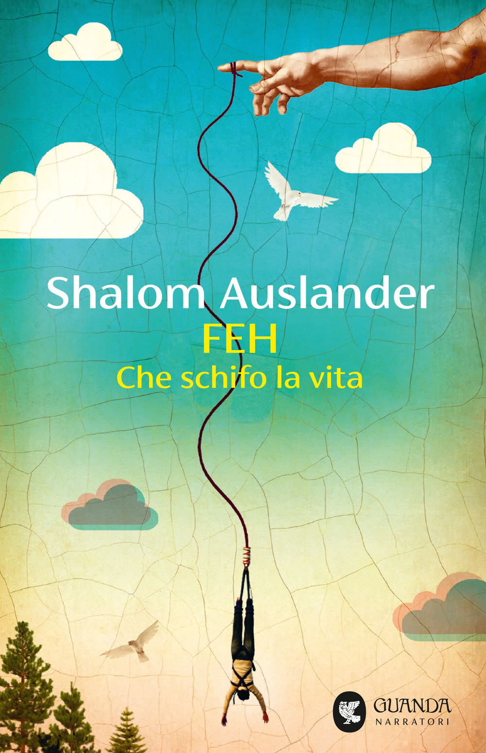 Libro Feh. Che schifo la vita di Shalom Auslander - ean 9788823534049 - Guanda