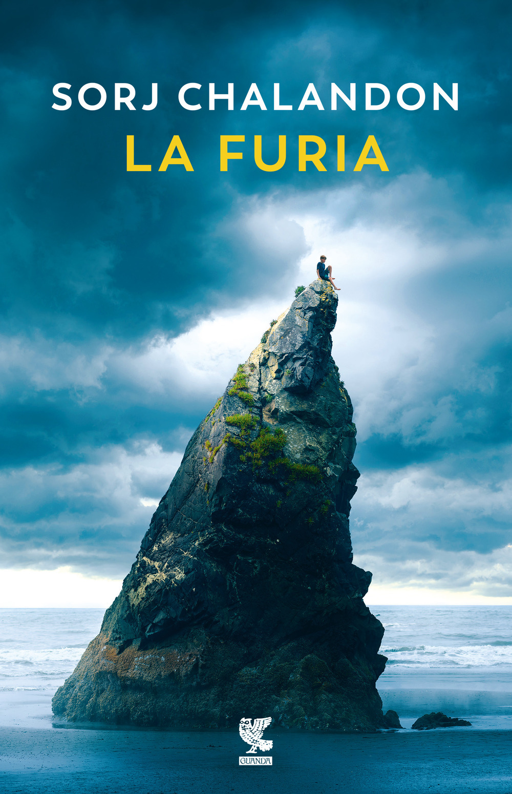 Libro furia di Sorj Chalandon - ean 9788823534407 - Guanda