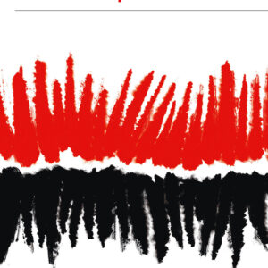 Libro mondo dopo Gaza di Pankaj Mishra - ean 9788823535381 - Guanda