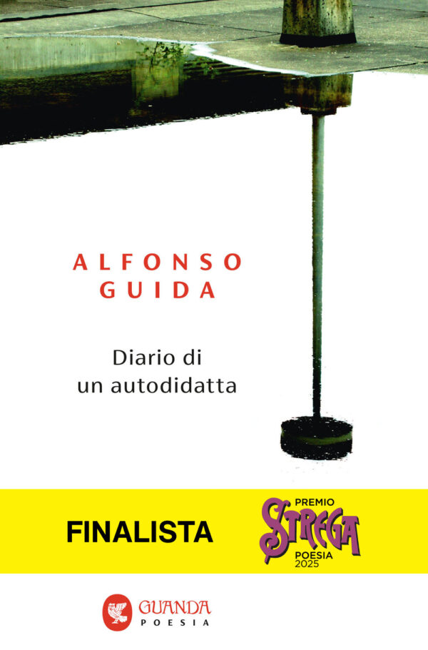 Libro Diario di un autodidatta di Alfonso Guida - ean 9788823535633 - Guanda
