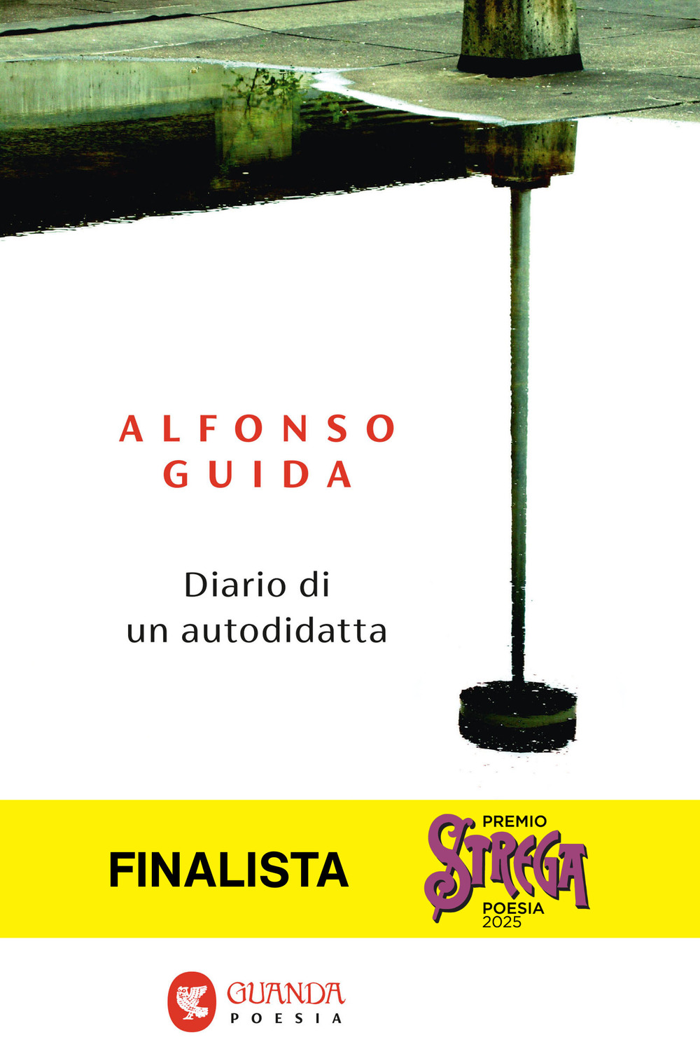 Libro Diario di un autodidatta di Alfonso Guida - ean 9788823535633 - Guanda