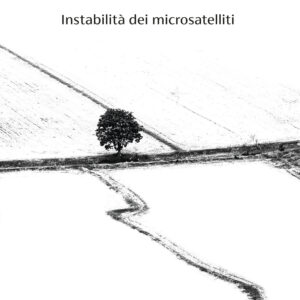 Libro Instabilità dei microsatelliti di Silvia Caratti - ean 9788823535640 - Guanda