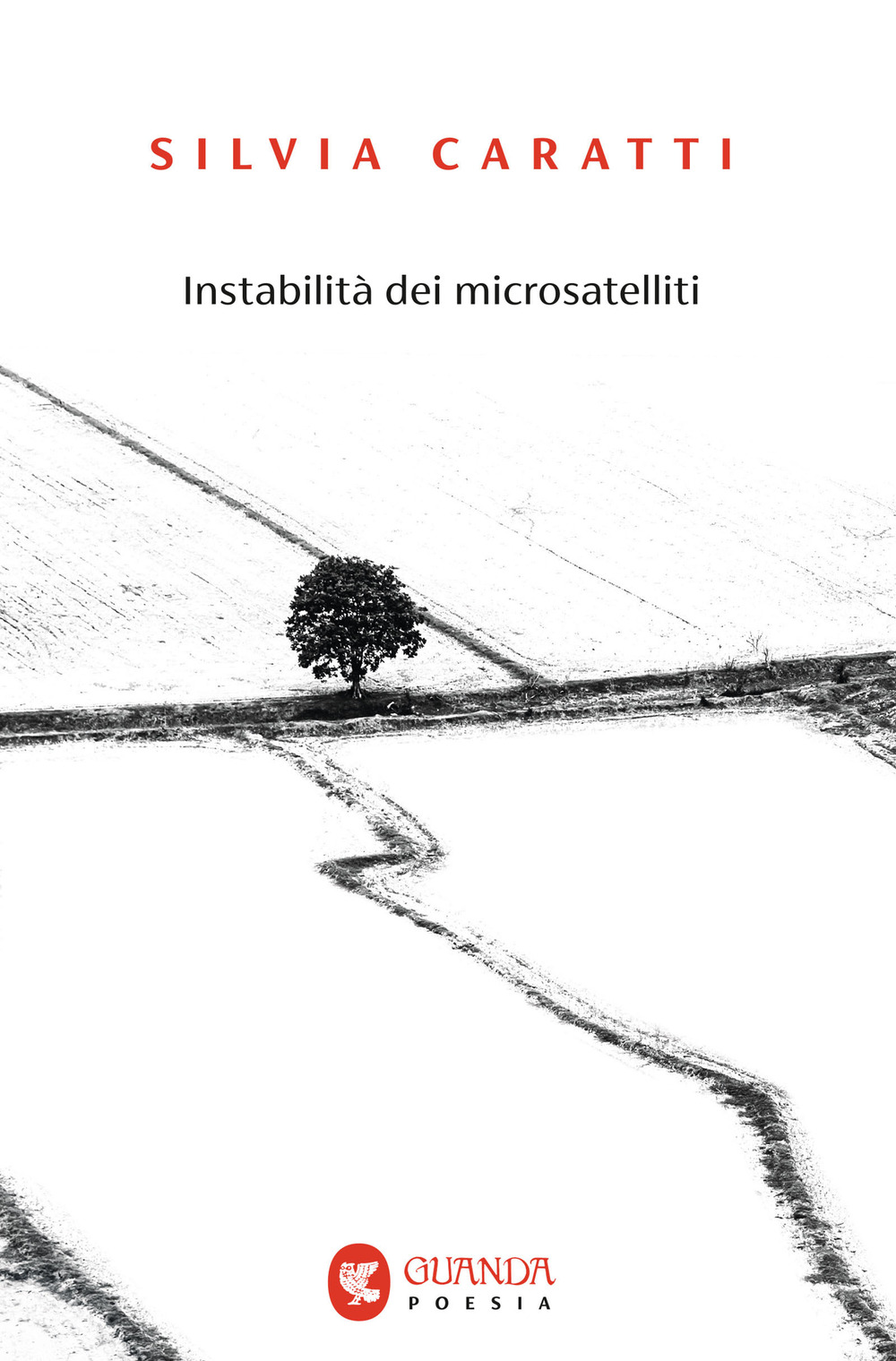 Libro Instabilità dei microsatelliti di Silvia Caratti - ean 9788823535640 - Guanda