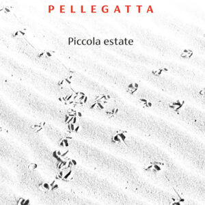 Libro Piccola estate di Alberto Pellegatta - ean 9788823535923 - Guanda