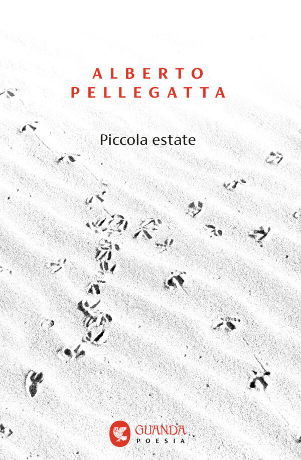 Libro Piccola estate di Alberto Pellegatta - ean 9788823535923 - Guanda