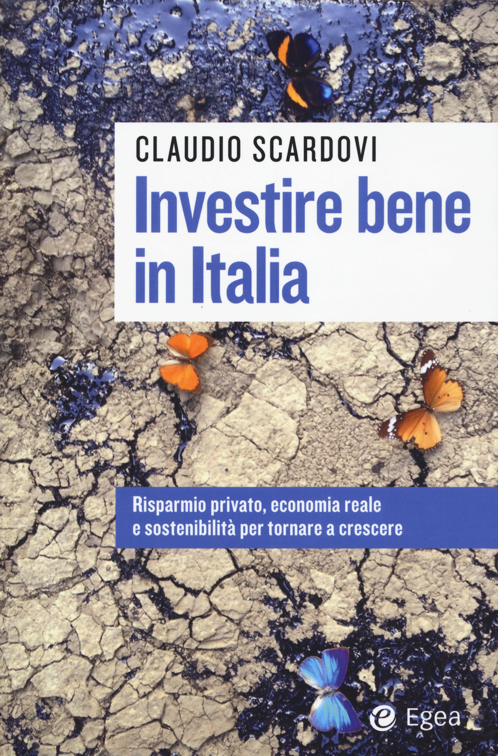 Libro Investire bene in Italia. Risparmio privato